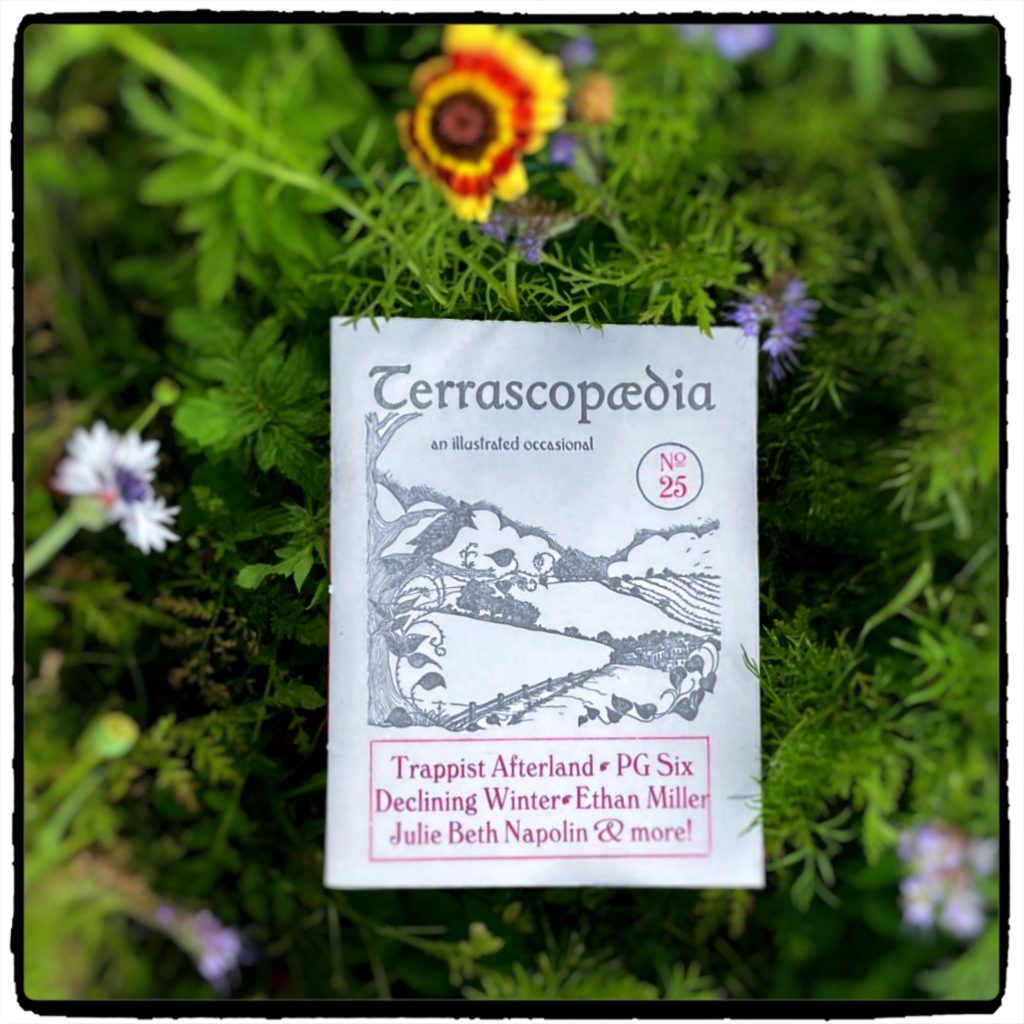 Terra25flowersquare2