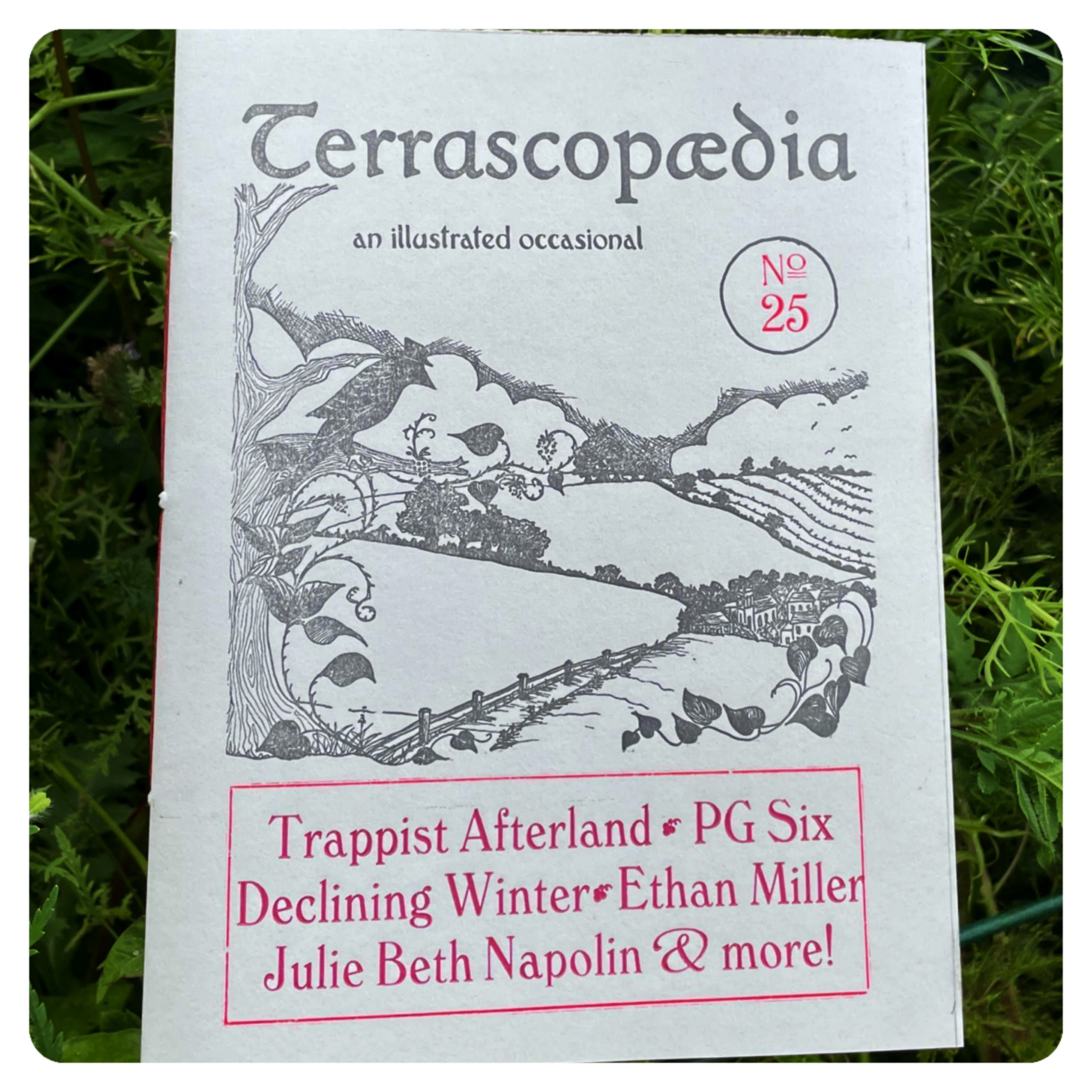 Terracoversquare7